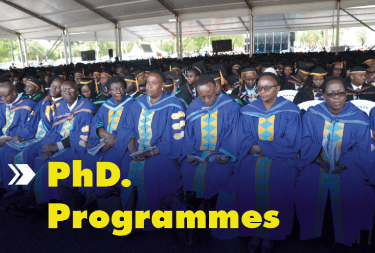 Phd Programmes